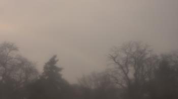 Weather camera view of Saint Peter School.