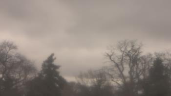 Weather camera view of Saint Peter School.