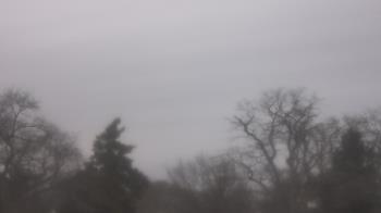 Weather camera view of Saint Peter School.