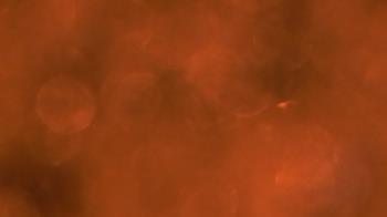 Weather camera view of Saint Peter School.