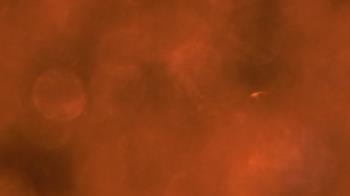 Weather camera view of Saint Peter School.