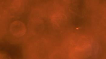 Weather camera view of Saint Peter School.