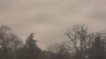 Weather camera view of Saint Peter School.