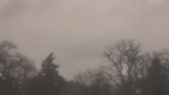 Weather camera view of Saint Peter School.