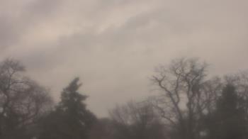 Weather camera view of Saint Peter School.