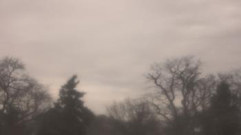 Weather camera view of Saint Peter School.