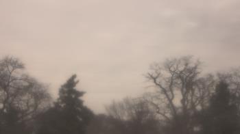 Weather camera view of Saint Peter School.