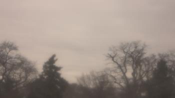 Weather camera view of Saint Peter School.