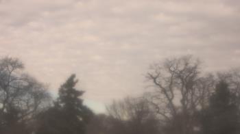 Weather camera view of Saint Peter School.