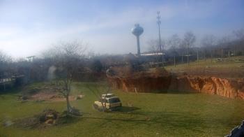 Weather camera view of Columbus Zoo and Aquarium.