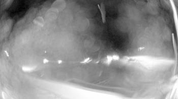 Weather camera view of North Putnam MS.