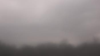 Weather camera view of Winston School.