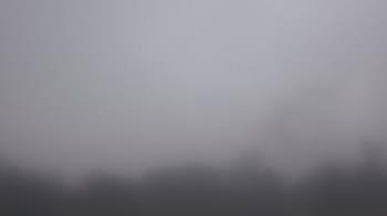 Weather camera view of Winston School.