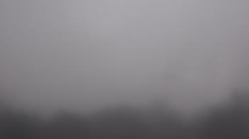 Weather camera view of Winston School.