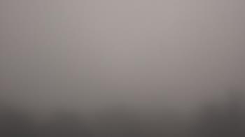 Weather camera view of Winston School.