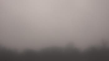 Weather camera view of Winston School.