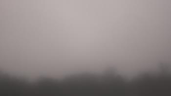 Weather camera view of Winston School.