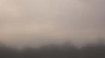 Weather camera view of Winston School.