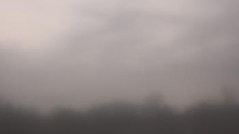 Weather camera view of Winston School.