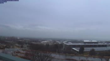 Weather camera view of Red Butte Garden.