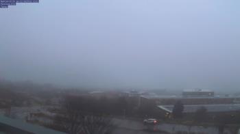 Weather camera view of Red Butte Garden.