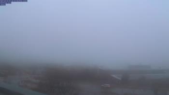 Weather camera view of Red Butte Garden.