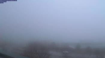 Weather camera view of Red Butte Garden.