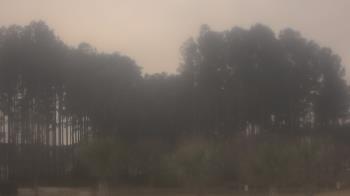 Weather camera view of Sand Hill Elementary.