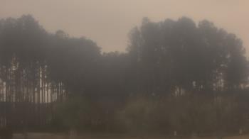 Weather camera view of Sand Hill Elementary.