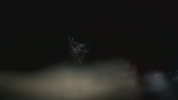 Weather camera view of Sandy Creek School.