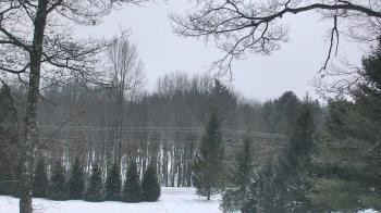 Weather camera view of Sky Valley Lodge.