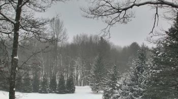 Weather camera view of Sky Valley Lodge.