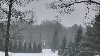 Weather camera view of Sky Valley Lodge.