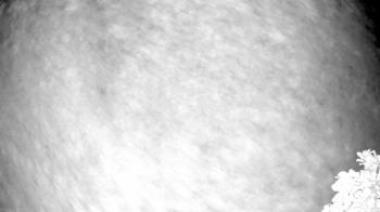 Weather camera view of The Clubs at Houston Oaks.