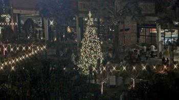 Weather camera view of Armature Works.