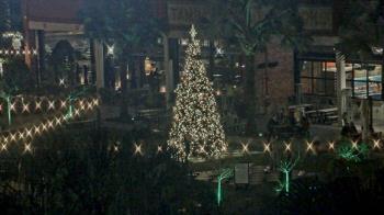 Weather camera view of Armature Works.