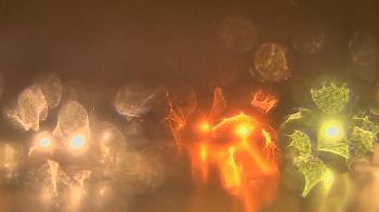 Weather camera view of Gesu School.