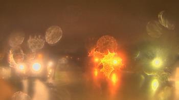 Weather camera view of Gesu School.