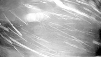 Weather camera view of Village Links of Glen Ellyn.