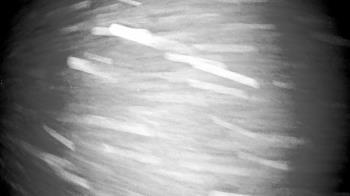 Weather camera view of Village Links of Glen Ellyn.