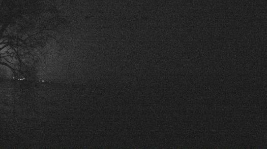 Weather camera view of Forest Lawn Beach.