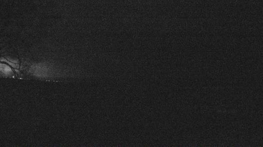 Weather camera view of Forest Lawn Beach.