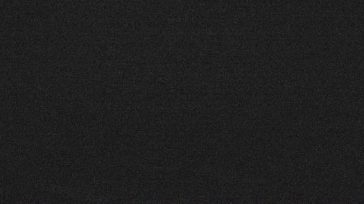 Weather camera view of Forest Lawn Beach.