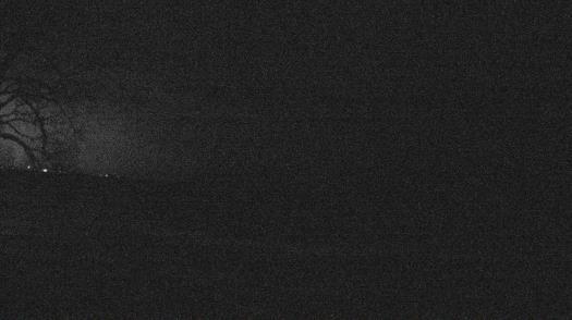 Weather camera view of Forest Lawn Beach.