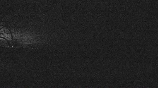 Weather camera view of Forest Lawn Beach.