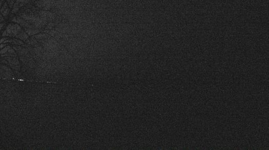 Weather camera view of Forest Lawn Beach.