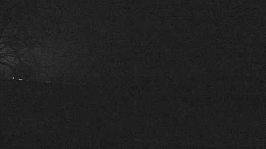 Weather camera view of Forest Lawn Beach.