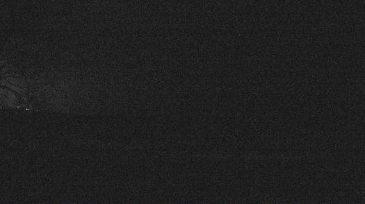 Weather camera view of Forest Lawn Beach.