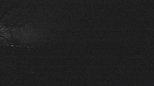 Weather camera view of Forest Lawn Beach.