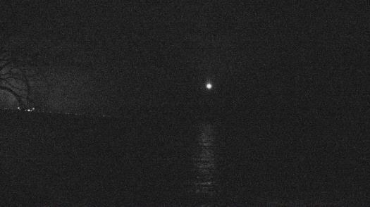 Weather camera view of Forest Lawn Beach.